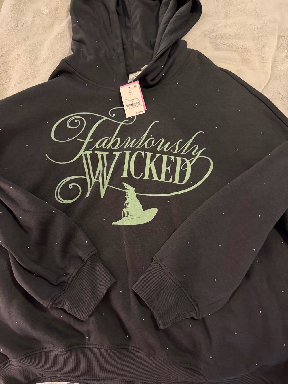 Fabulously Wicked Hooded Sweatshirt - Black with Mint Graphic